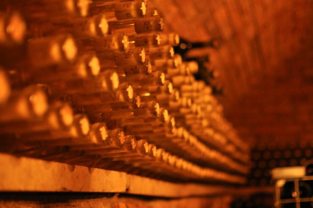 Penzion A Vinarstvi Vavricek Brezi エクステリア 写真